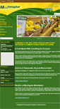 Mobile Screenshot of morningstarmarketplace.net